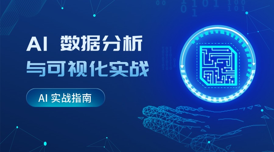 AI 实战指南：AI 数据分析与可视化实战
